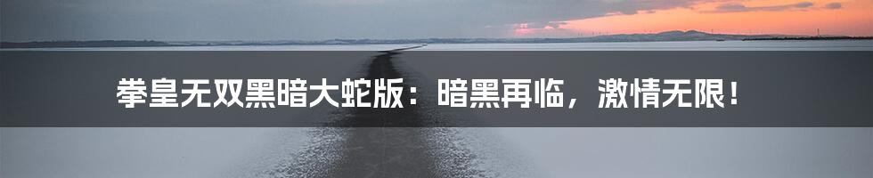 拳皇无双黑暗大蛇版：暗黑再临，激情无限！