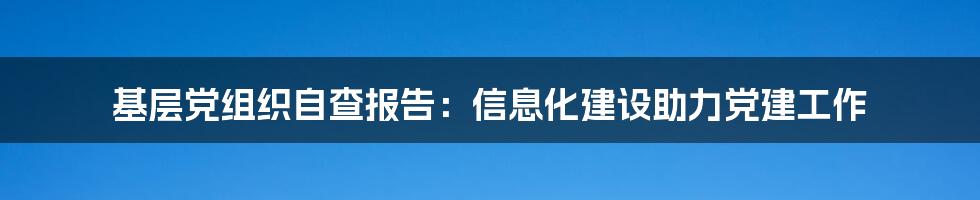 基层党组织自查报告：信息化建设助力党建工作