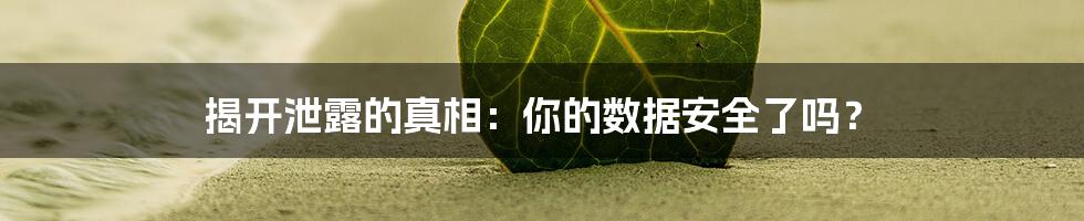 揭开泄露的真相：你的数据安全了吗？