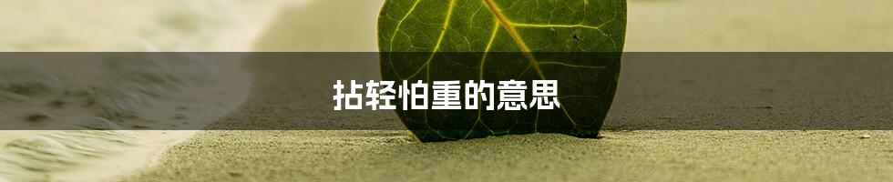 拈轻怕重的意思