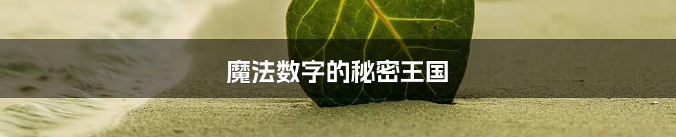 魔法数字的秘密王国