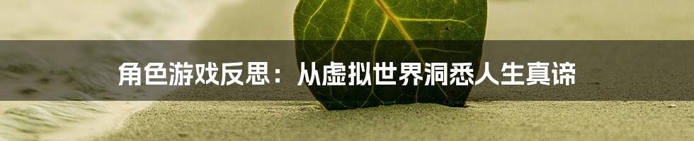 角色游戏反思：从虚拟世界洞悉人生真谛