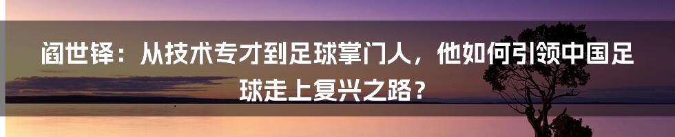 阎世铎：从技术专才到足球掌门人，他如何引领中国足球走上复兴之路？