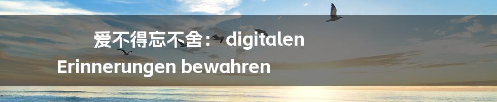 爱不得忘不舍： digitalen Erinnerungen bewahren