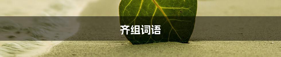 齐组词语