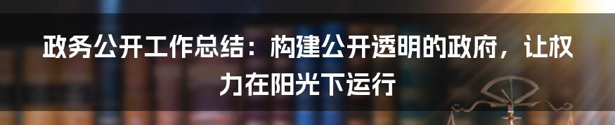 政务公开工作总结：构建公开透明的政府，让权力在阳光下运行