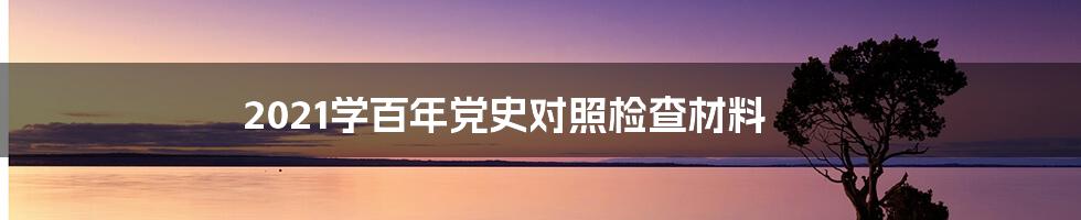 2021学百年党史对照检查材料