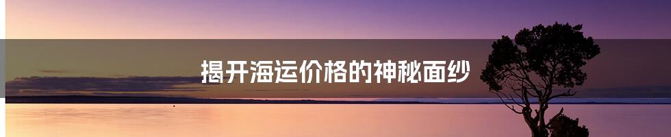 揭开海运价格的神秘面纱