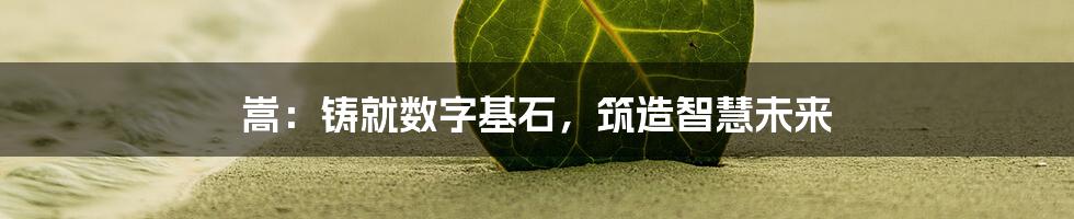 嵩：铸就数字基石，筑造智慧未来