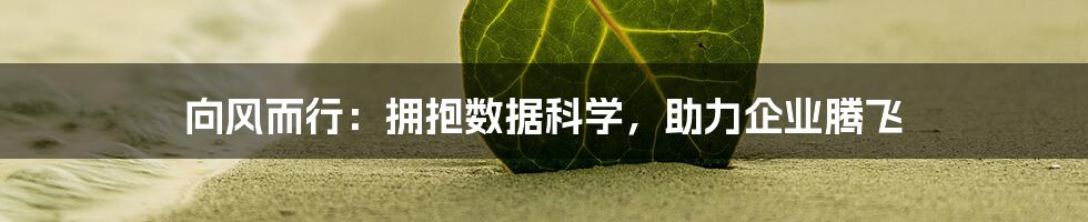 向风而行：拥抱数据科学，助力企业腾飞