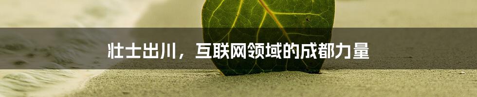 壮士出川，互联网领域的成都力量