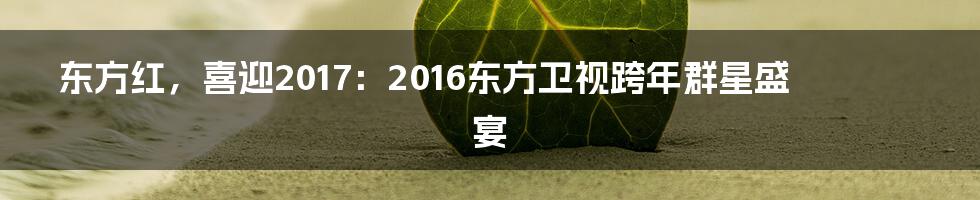 东方红，喜迎2017：2016东方卫视跨年群星盛宴