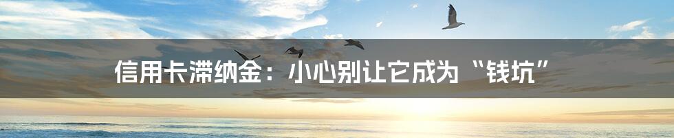 信用卡滞纳金：小心别让它成为“钱坑”