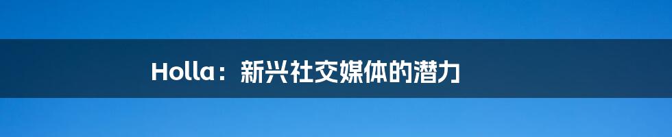 Holla：新兴社交媒体的潜力