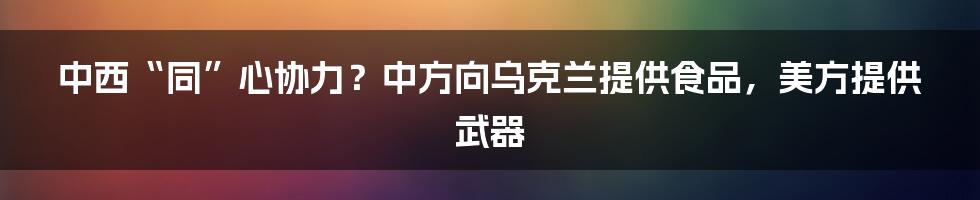 中西“同”心协力？中方向乌克兰提供食品，美方提供武器