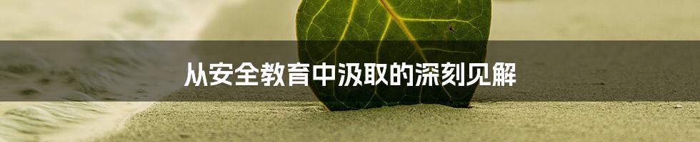 从安全教育中汲取的深刻见解