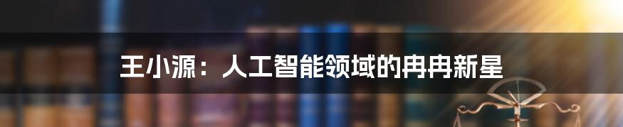 王小源：人工智能领域的冉冉新星