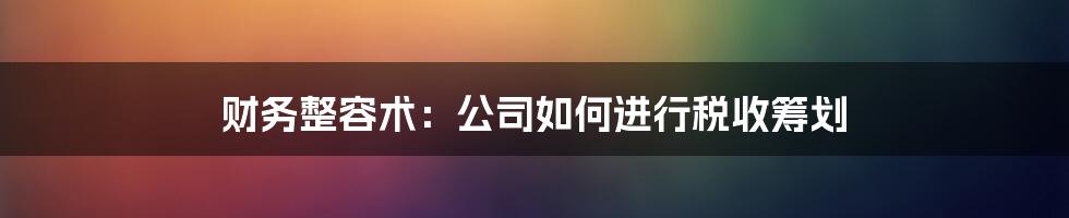 财务整容术：公司如何进行税收筹划