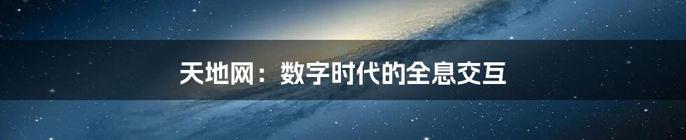 天地网：数字时代的全息交互