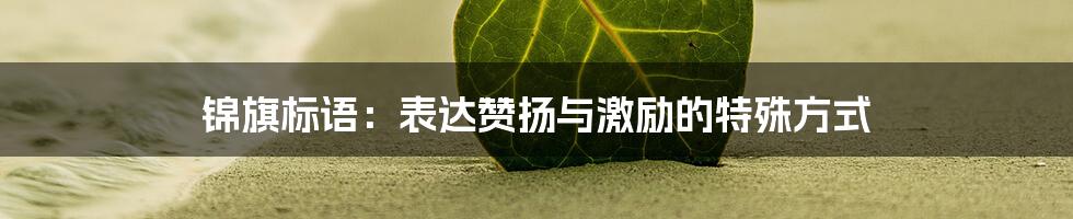 锦旗标语：表达赞扬与激励的特殊方式