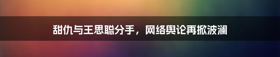 甜仇与王思聪分手，网络舆论再掀波澜