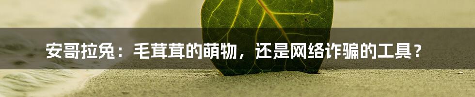 安哥拉兔：毛茸茸的萌物，还是网络诈骗的工具？