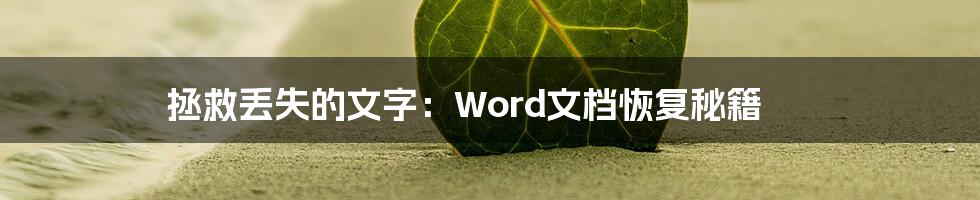 拯救丢失的文字：Word文档恢复秘籍