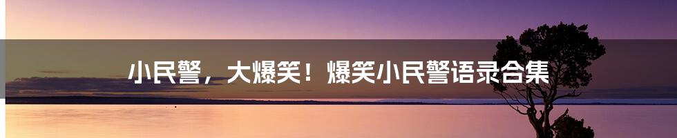 小民警，大爆笑！爆笑小民警语录合集