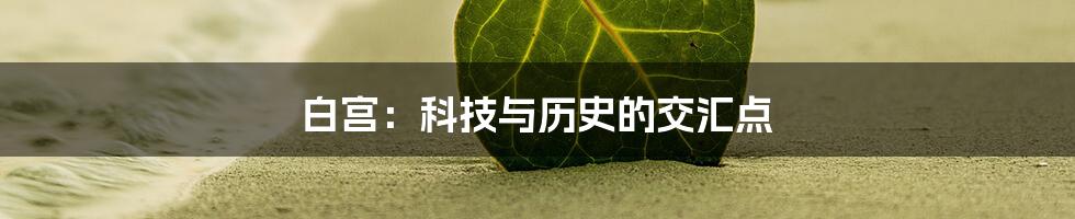 白宫：科技与历史的交汇点