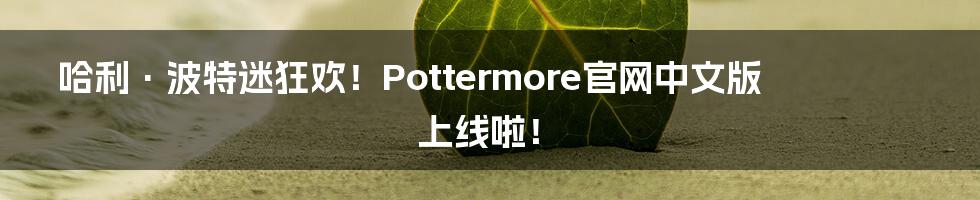 哈利·波特迷狂欢！Pottermore官网中文版上线啦！