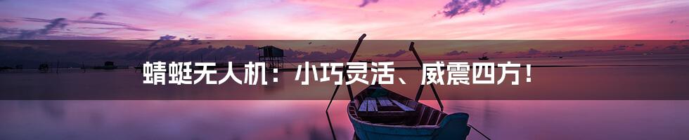 蜻蜓无人机：小巧灵活、威震四方！