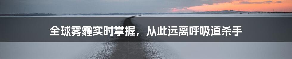 全球雾霾实时掌握，从此远离呼吸道杀手