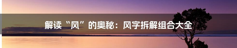 解读“风”的奥秘：风字拆解组合大全