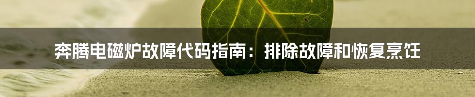 奔腾电磁炉故障代码指南：排除故障和恢复烹饪