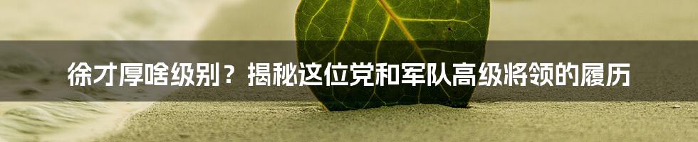 徐才厚啥级别？揭秘这位党和军队高级将领的履历