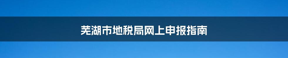 芜湖市地税局网上申报指南