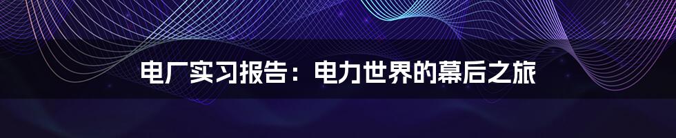 电厂实习报告：电力世界的幕后之旅