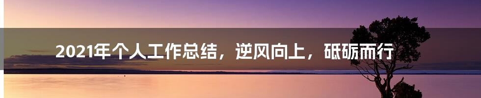 2021年个人工作总结，逆风向上，砥砺而行