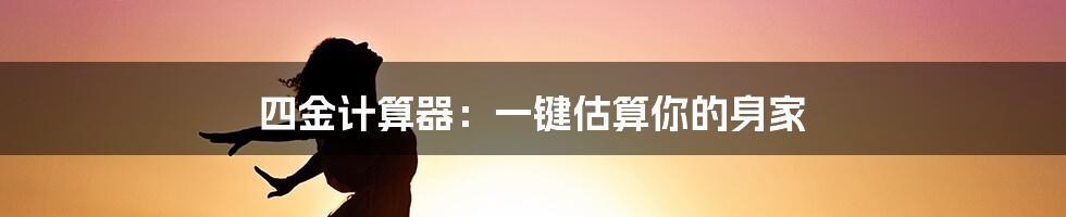 四金计算器：一键估算你的身家