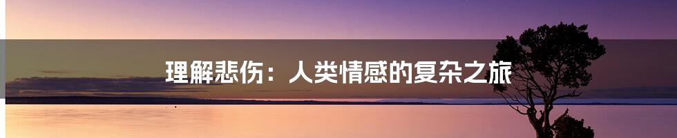 理解悲伤：人类情感的复杂之旅