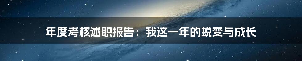 年度考核述职报告：我这一年的蜕变与成长