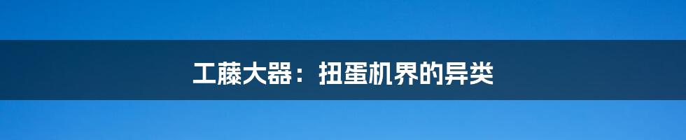 工藤大器：扭蛋机界的异类