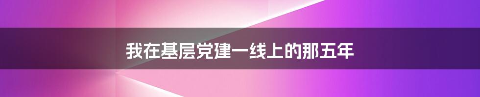 我在基层党建一线上的那五年