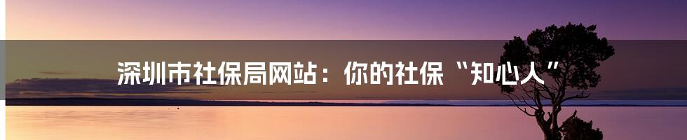 深圳市社保局网站：你的社保“知心人”