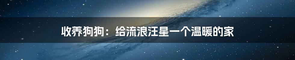 收养狗狗：给流浪汪星一个温暖的家