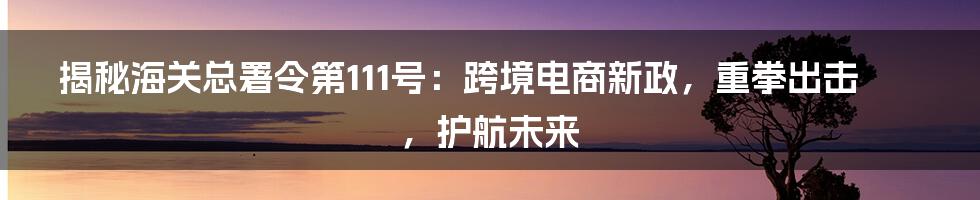 揭秘海关总署令第111号：跨境电商新政，重拳出击，护航未来