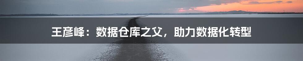 王彦峰：数据仓库之父，助力数据化转型