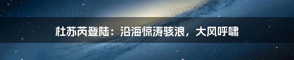 杜苏芮登陆：沿海惊涛骇浪，大风呼啸