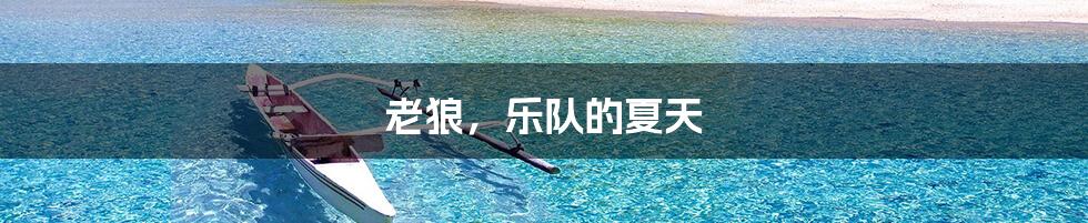 老狼，乐队的夏天