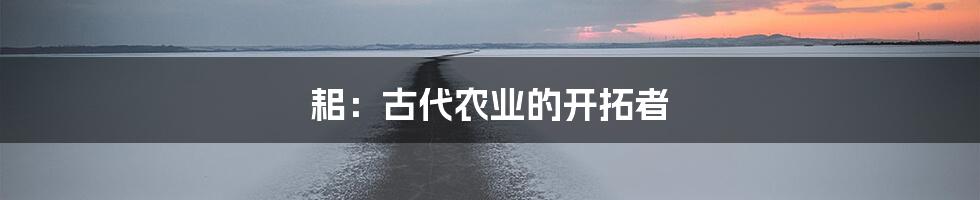 耜：古代农业的开拓者